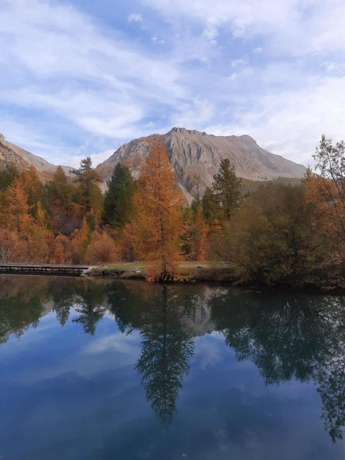 Chalet Miel De La Cayolle-Estenc Entraunes Εξωτερικό φωτογραφία